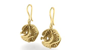 نمونه کارها